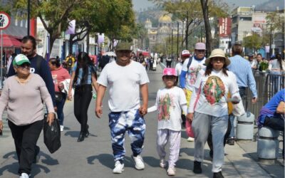 Reportan saldo blanco en festividad guadalupana