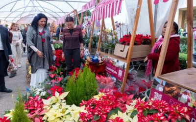Inauguran el Festival de Flores de Nochebuena en Paseo de la Reforma
