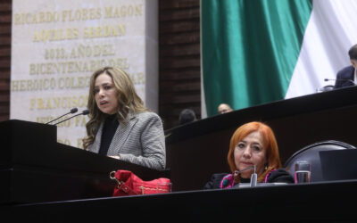 Indignante que la CNDH esté al servicio del gobierno: diputada del PRI Ivonne Ruiz
