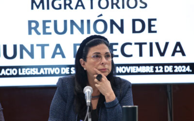 Diputada Guerra pide reforzar seguridad para agentes del INM