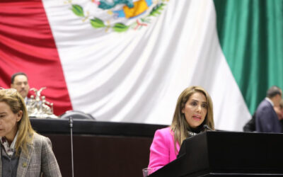 A 100 días de gobierno, puras cifras alegres: diputada  Ivonne Ruíz