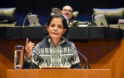 Urge frenar fraudes en aplicaciones de préstamos en linea: Rocío Corona