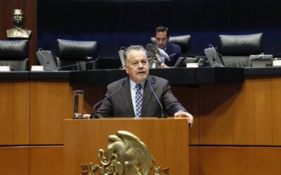 Morena debe erradicar su nepotismo: senador Mario Vázquez