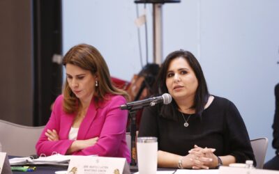 Reforma Eléctrica de Morena es un fracaso, no resolverá apagones: Mayuli Martínez