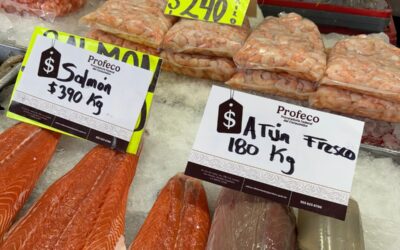 Vigente Programa de Verificación y Vigilancia Cuaresma y Semana Santa 2025