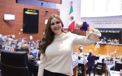 Pide PT garantizar seguridad en marcha del 8M en todo el país