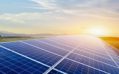 Cox alcanza un EBITDA de 183 millones y beneficio neto de 59 millones en 2024