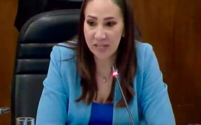 A casi dos años de su aprobación «Ley 3 de 3» es letra muerta: Noemí Luna