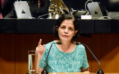 Impulsa el Verde transporte público gratuito a menores, adultos mayores y discapacitados