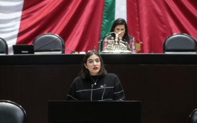Diputada del PRI pide incluir género en estrategia México te abraza