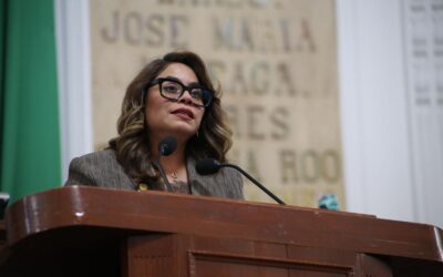 CDMX y alcaldía Alvaro Obregón quieren imponer Utopía en Parque Japón: Montes de Oca