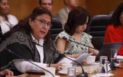 Propone diputada Orozco cambiar de Secretaría de Mujeres a Secretaría por Igualdad Sustantiva