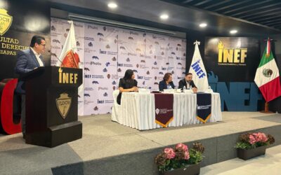 Reforma al Poder Judicial acercará la justicia al pueblo: Celia Maya