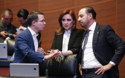 GPPAN no dará un cheque en blanco al gobierno en seguridad