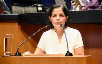 Impulsa Verde que deudores alimentarios no accedan a cargos públicos