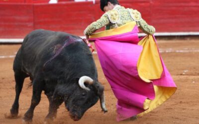Celebra el Verde en Senado prohibición de corridas de toros en Michoacán