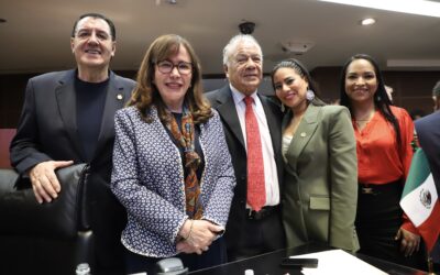 Fortalecer campaña de difusión y promoción del voto en elección judicial: PT