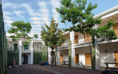 Oaxaca, sede de la Junta Nacional de la Colección Tesoros de México