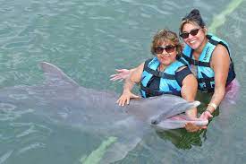 The Dolphin Company anuncia nueva etapa para fortalecer su operación