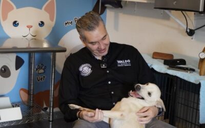 Con “Waldog” concientiza Waldo Fernández sobre protección animal