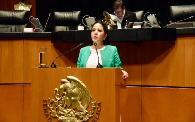 Urge el Verde a elevar la calidad en las instituciones de seguridad pública