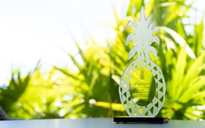 TELIER Playa Mujeres es reconocido como el hotel con la mejor reputación online