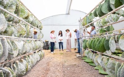 Refuerza Sectur el compromiso de México como destino global