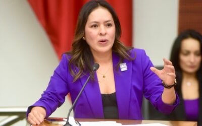 Celebra el Verde suspensión del cuarto muelle de cruceros en Cozumel