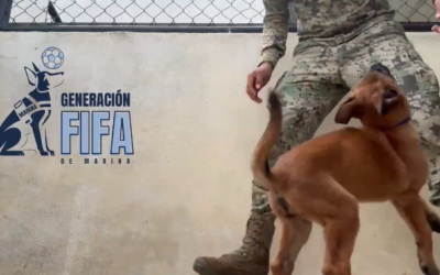 Presentan a Generación FIFA, los cachorros que protegerán el Mundial 2026