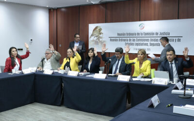 Comisión  acuerda no conceder licencia a la jueza Irlanda Gabriela Pacheco 