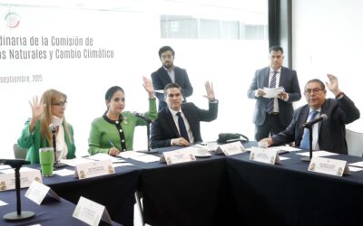 Alicia Bárcena comparecerá el 30 de septiembre ante Comisión