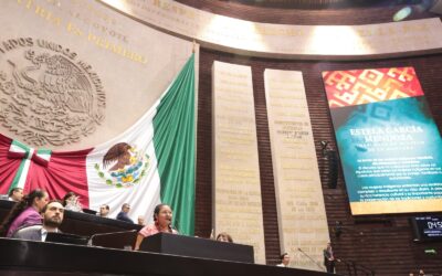 Hablante de mixteco denuncia frente a diputad@s que mujeres indígenas sufren injusticia