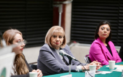 Pide diputada del PRI crear programa nacional para reparar baches