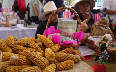 Inauguran Feria del Maíz en Monumento a la Revolución