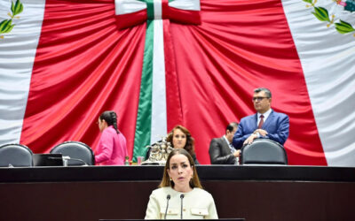 Propone diputada del PRI prisión para quien robe insumos de escuelas