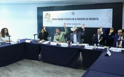 Senadores se comprometen apoyar ganaderos ante el gusano barrenador