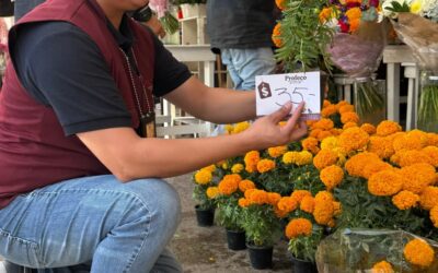 Continúa vigilancia del Programa Fieles Difuntos y Día de Muertos 2025