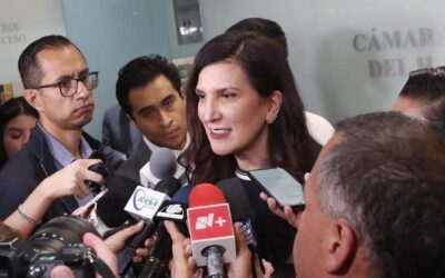 No habrá fast track en la discusión de Ley de Amparo: López Rabadán