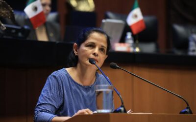 Senadora Corona propone eliminar artículo discriminatorio en Ley del IMSS