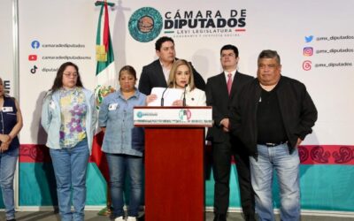 IEPS no combate la obesidad, pero sí golpea al pequeño comercio:diputada