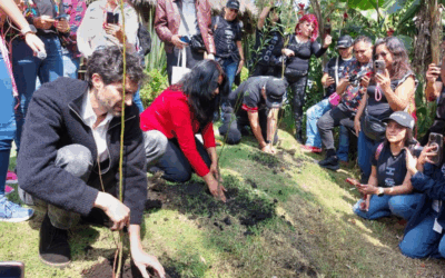 Benny Ibarra encabezó el arranque oficial de la campaña de reforestación Michmani