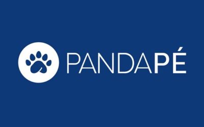 Pandapé México redefine la gestión del talento en  entorno laboral en transformación