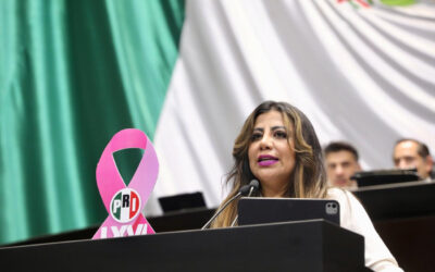 Reforma aduanera implica militarización y opacidad: Lorena Piñón