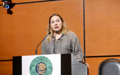 Diputada Sandoval exige a Conagua actualizar protocolos por inundaciones