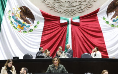 Morena quiere meter mano al bolsillo de damnificados de Veracruz: Lorena Piñón