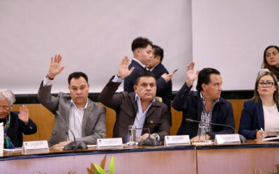 Presupuesto castiga al Poder Judicial y a la Seguridad Pública: PRI