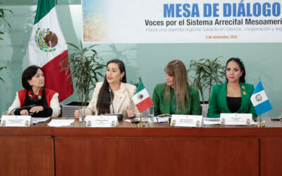 Llaman a elevar protección de arrecifes de coral ante riesgo de desaparición