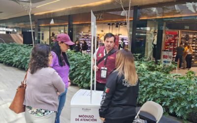 Incumplimiento de precios y ofertas encabezan inconformidades en Buen Fin