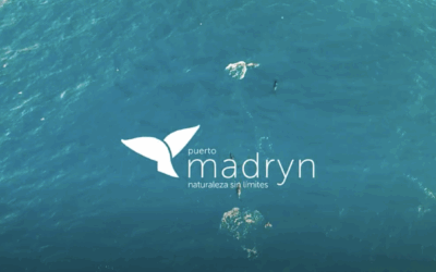 Puerto Madryn lanza su campaña para la Temporada Verano 2025/6