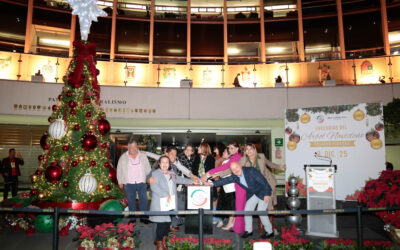 Enciende Laura Itzel Castillo Árbol de Navidad del Senado